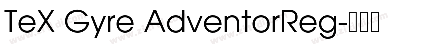 TeX Gyre AdventorReg字体转换